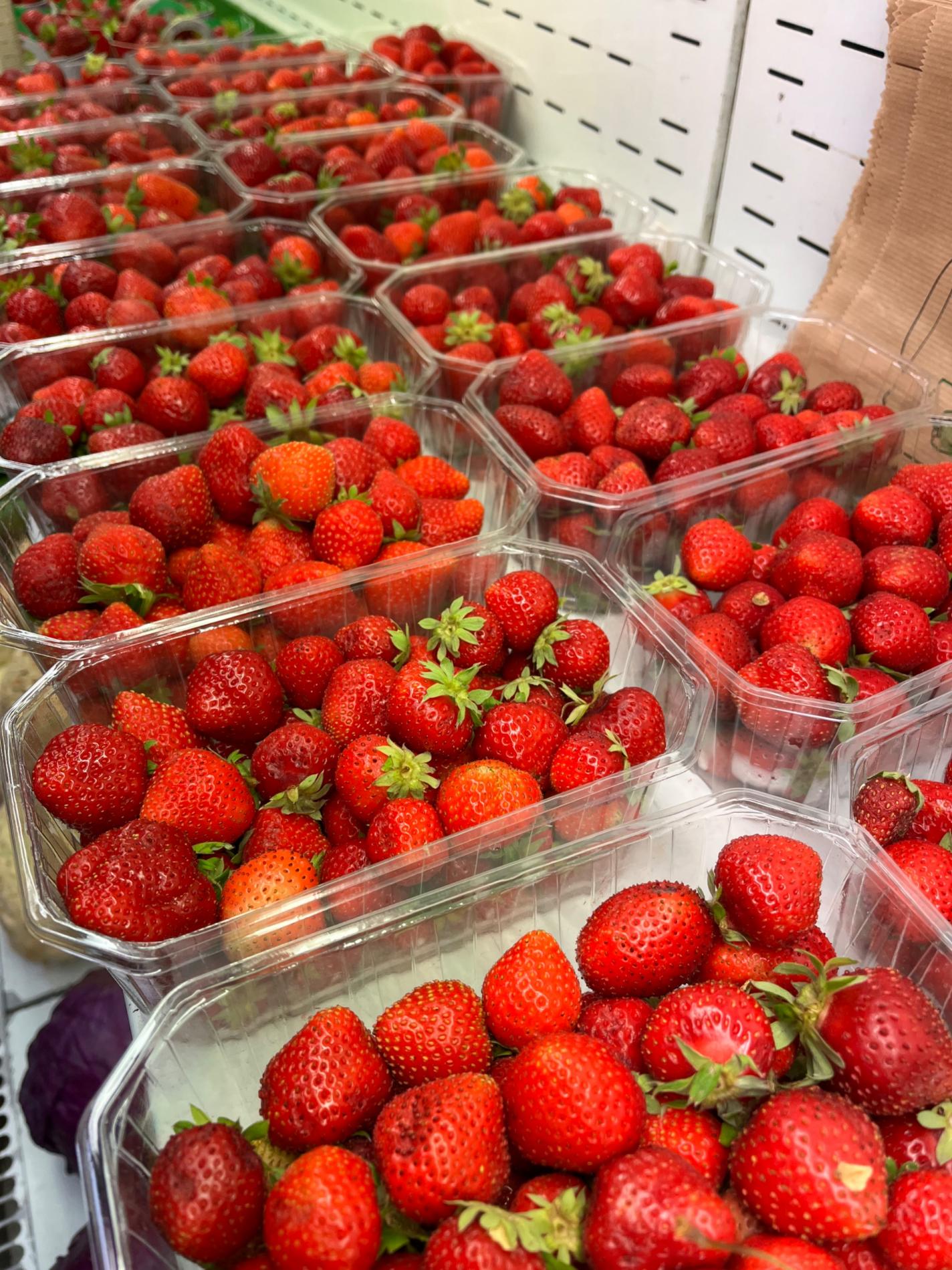 Les fraises à confiture sont arrivées !